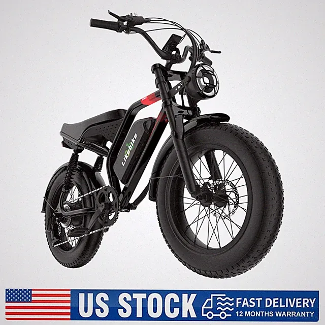 1500W Peak Motor Mountain ebike 20" fat tires Electric ebike 48V 20Ah Bicycle