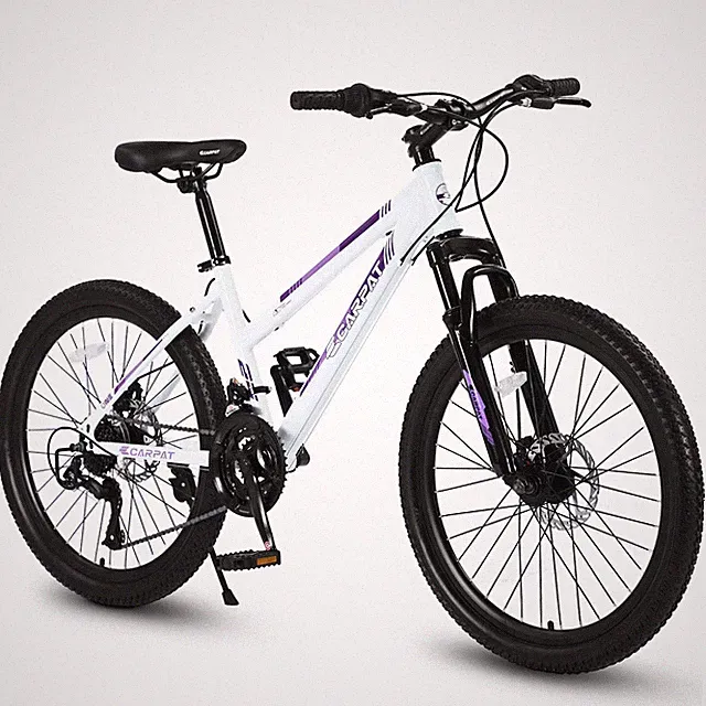 21-Speed Mountain Bike Bicycle Disc Brake 100m Front Suspension for Teens Adults