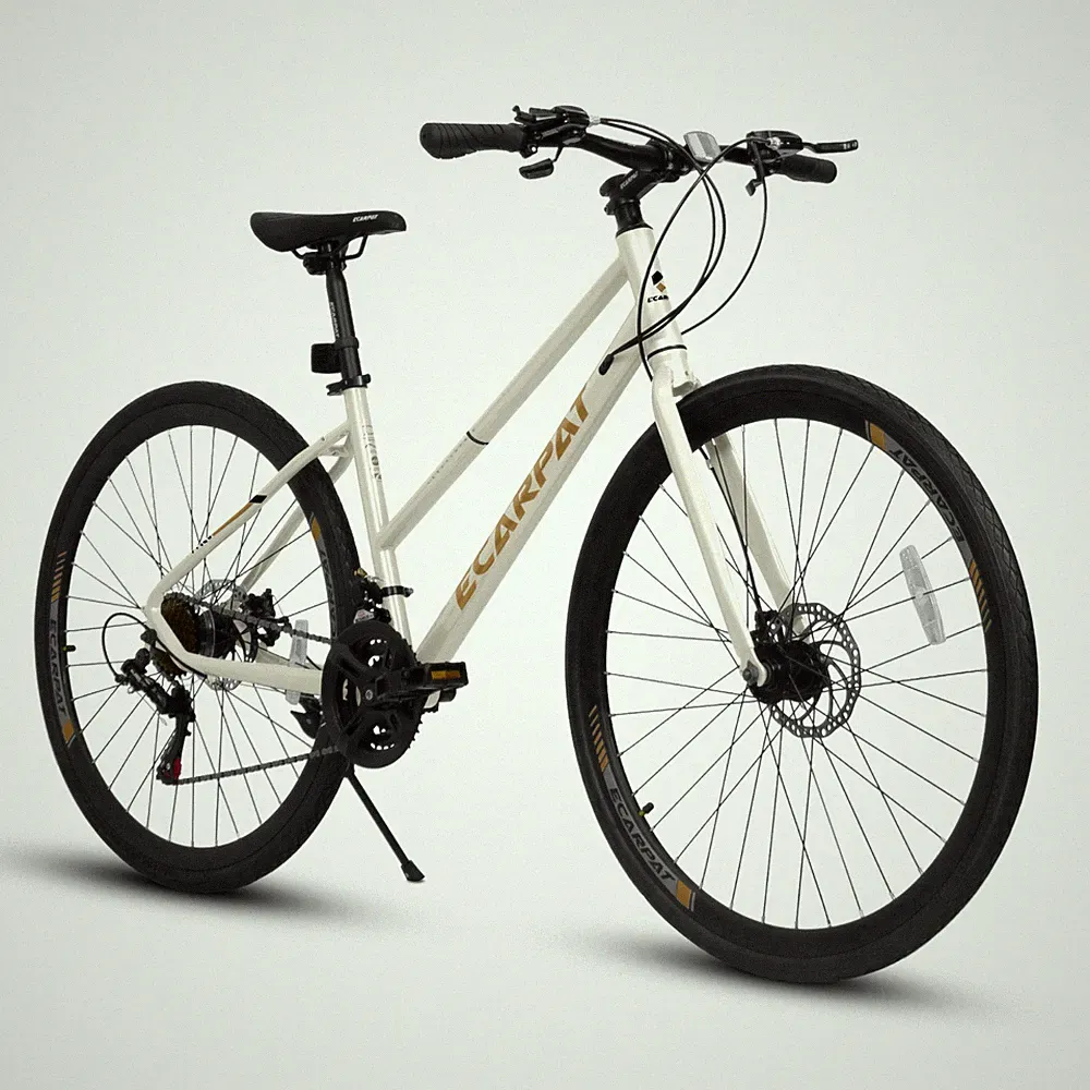 35 lb Commuter Bike