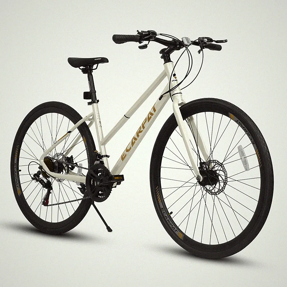 35 lb Road Bike